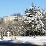 Дуденков Владимир 15 лет