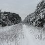 Муха Дарья 14 лет