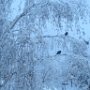 Рябкова Ольга 13 лет