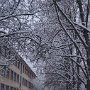 Тяпкина Полина 13 лет