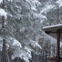 Муха Дарья 14 лет