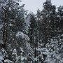 Муха Дарья 14 лет