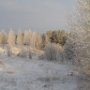 Рябкова Ольга 13 лет