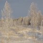 Рябкова Ольга 13 лет
