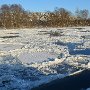 Чернейко Елизавета 14 лет