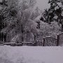 Стукач Кирилл 13 лет