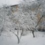 Котлярова Дарья 16 лет