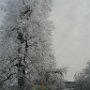 Котлярова Дарья 16 лет