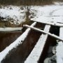 Котлярова Дарья 16 лет