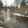 Котлярова Дарья 16 лет